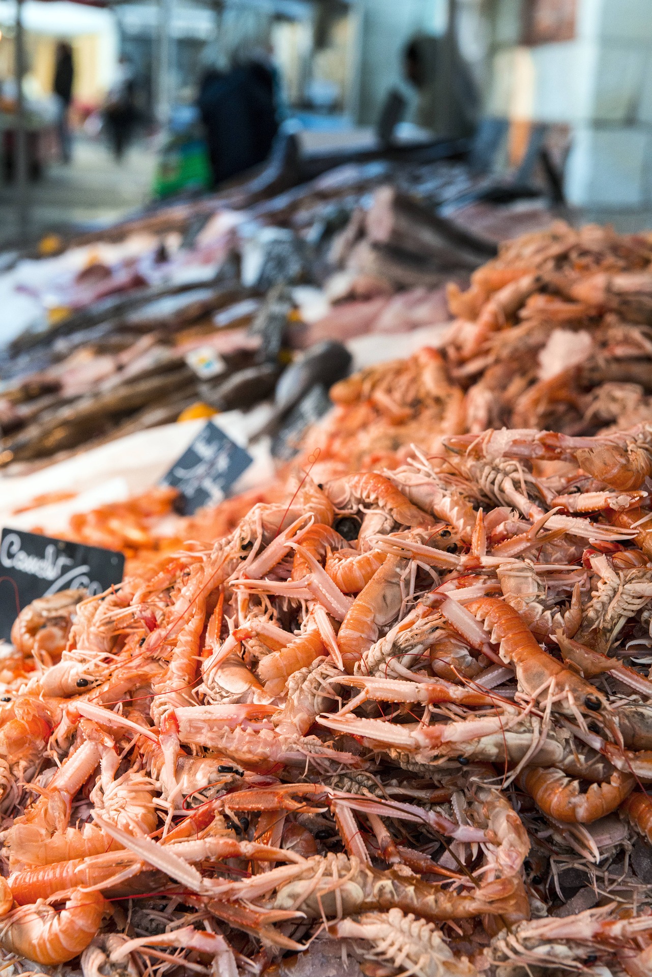 Langoustines à la criée.